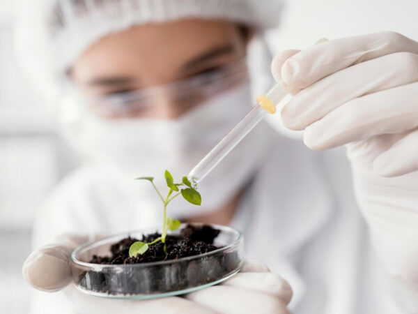 От школьной парты до агропредприятия: как в России готовят новое поколение кадров для АПК