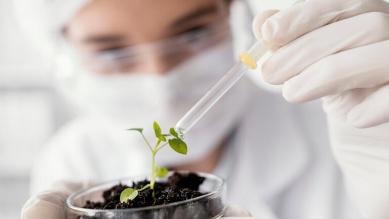 От школьной парты до агропредприятия: как в России готовят новое поколение кадров для АПК