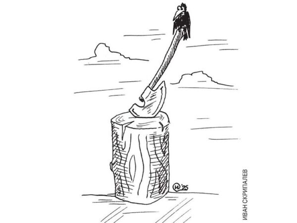 Частичка жизни