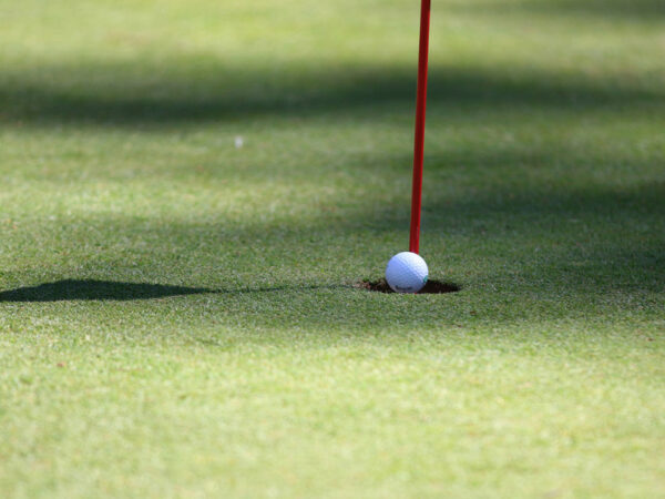 Россия расчехлила клюшки: В рейтинге стран по обеспеченности гольф-полями РФ вошла в топ-50