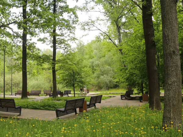 С «зеленым» эксклюзивом негусто: В этом году у ландшафтных заказников Москвы появилась только одна новостройка