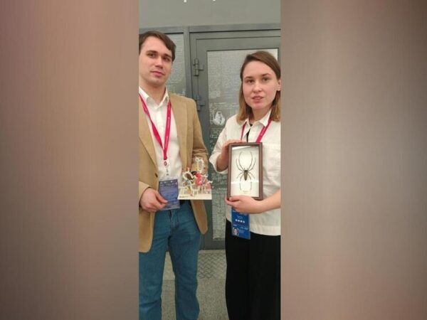 Эффективный инсектицид создали молодые учёные из России и Армении, взяв за основу компоненты яда паука