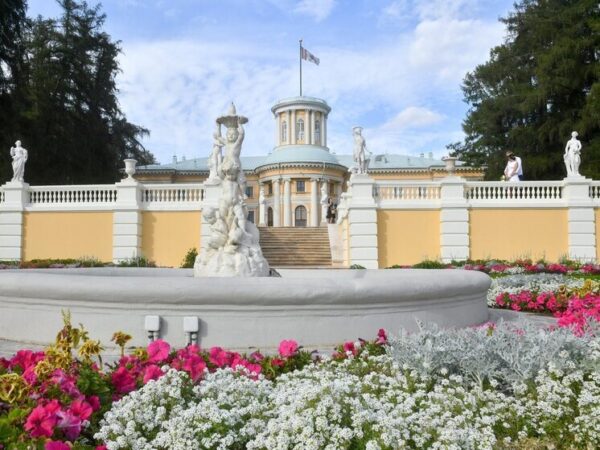 В «Архангельском» решили проверить музейные предметы-декорации на наличие микрогрибов